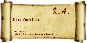 Kis Amália névjegykártya